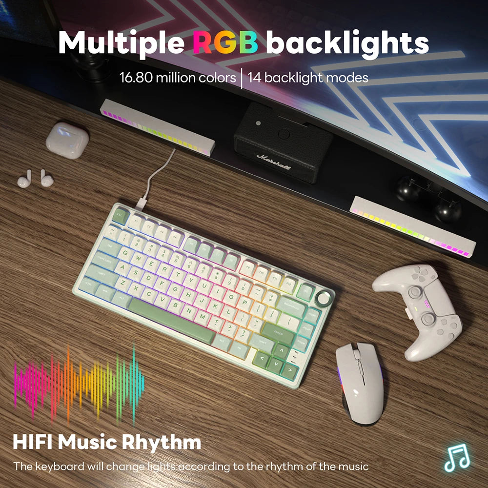 Royal Kludge RK R75 Brazilian Mechanical Keyboard Gasket Wired Gamer Keyboard  Hot-swappable 80 Keys RGB Backlit MDA PBT Keycaps