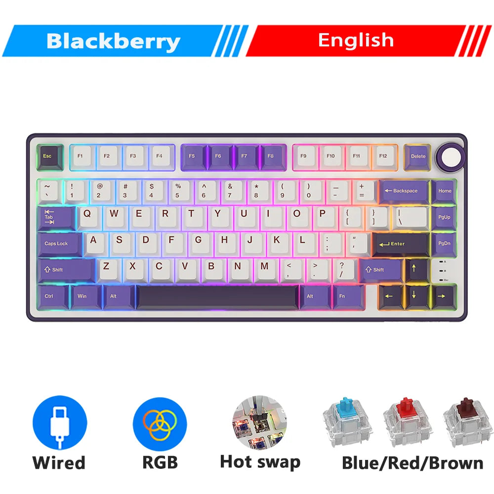 Royal Kludge RK R75 Brazilian Mechanical Keyboard Gasket Wired Gamer Keyboard  Hot-swappable 80 Keys RGB Backlit MDA PBT Keycaps