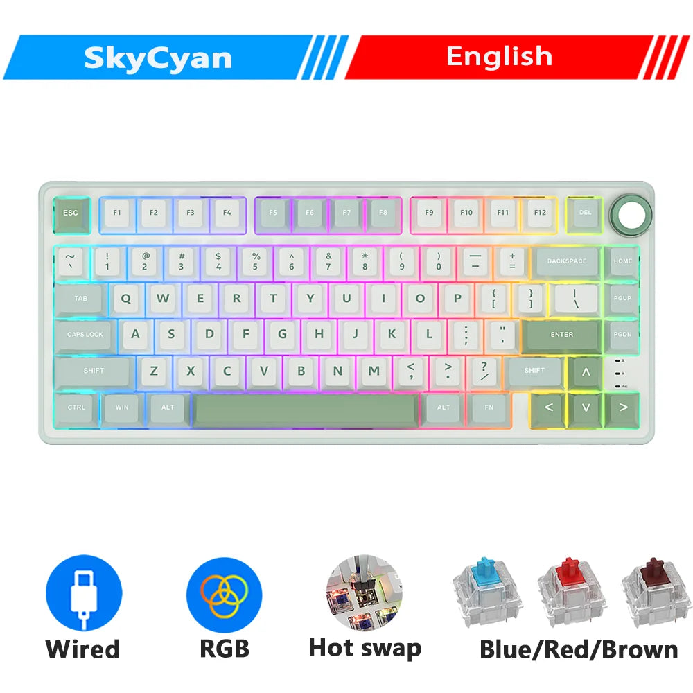 Royal Kludge RK R75 Brazilian Mechanical Keyboard Gasket Wired Gamer Keyboard  Hot-swappable 80 Keys RGB Backlit MDA PBT Keycaps