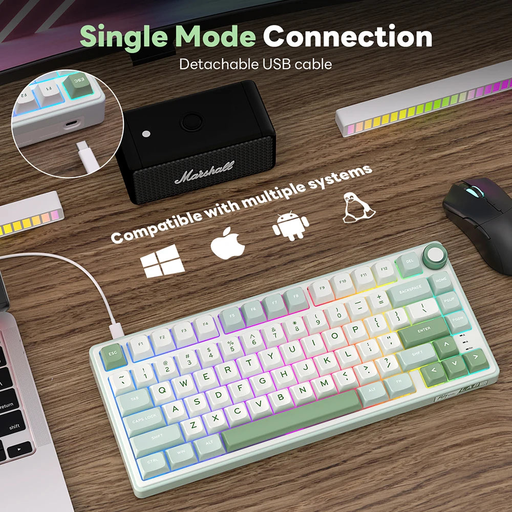 Royal Kludge RK R75 Brazilian Mechanical Keyboard Gasket Wired Gamer Keyboard  Hot-swappable 80 Keys RGB Backlit MDA PBT Keycaps