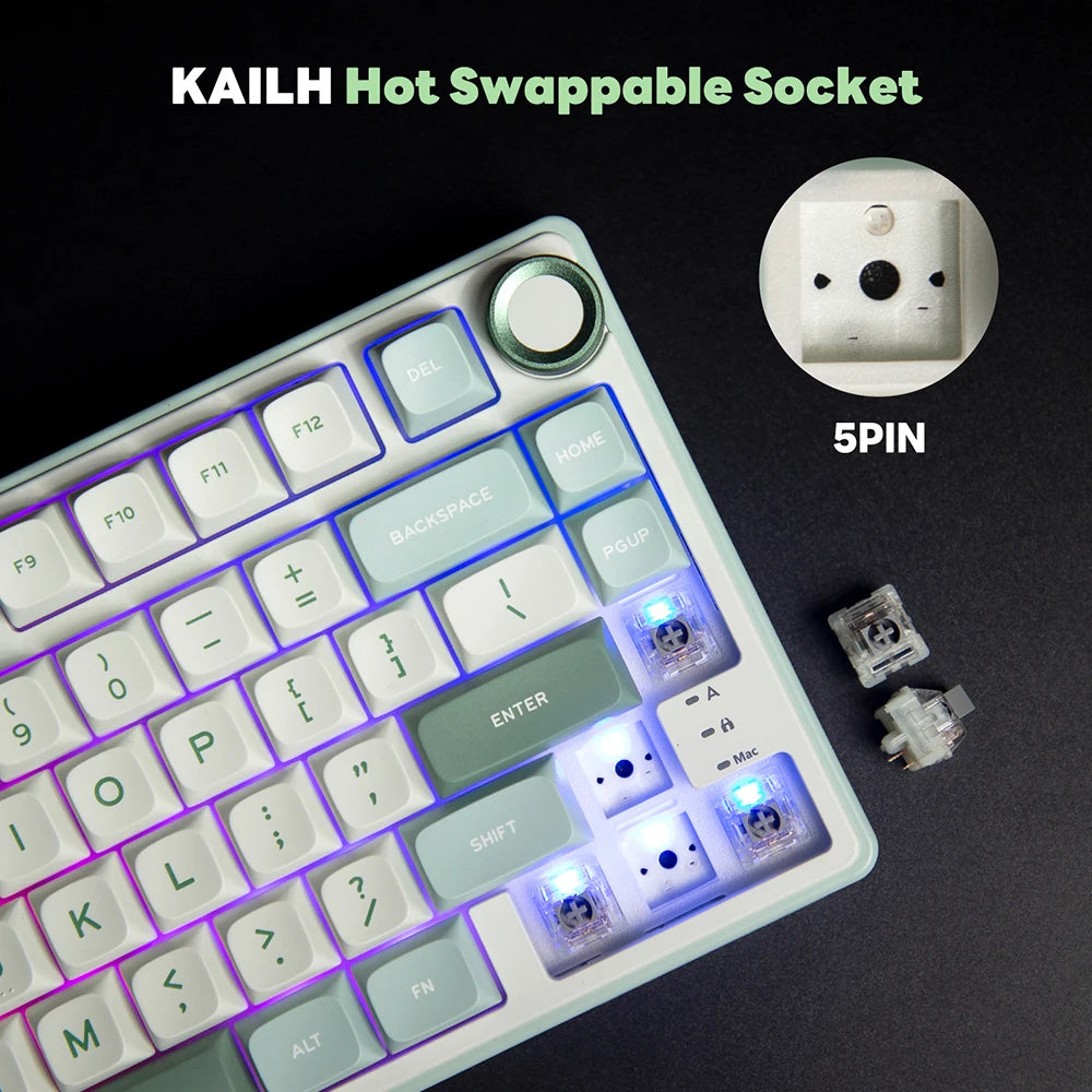 Royal Kludge RK R75 Brazilian Mechanical Keyboard Gasket Wired Gamer Keyboard  Hot-swappable 80 Keys RGB Backlit MDA PBT Keycaps